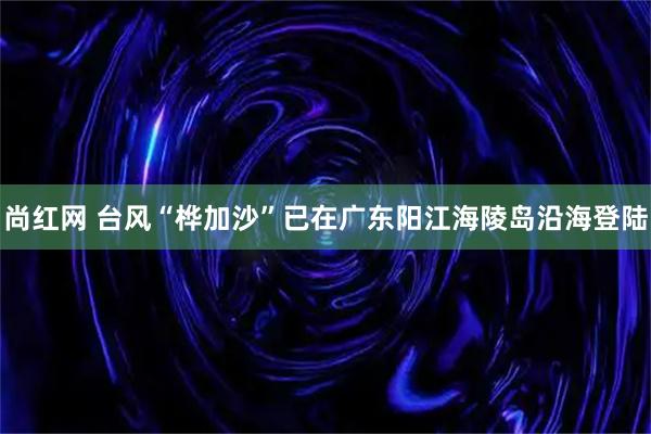 尚红网 台风“桦加沙”已在广东阳江海陵岛沿海登陆